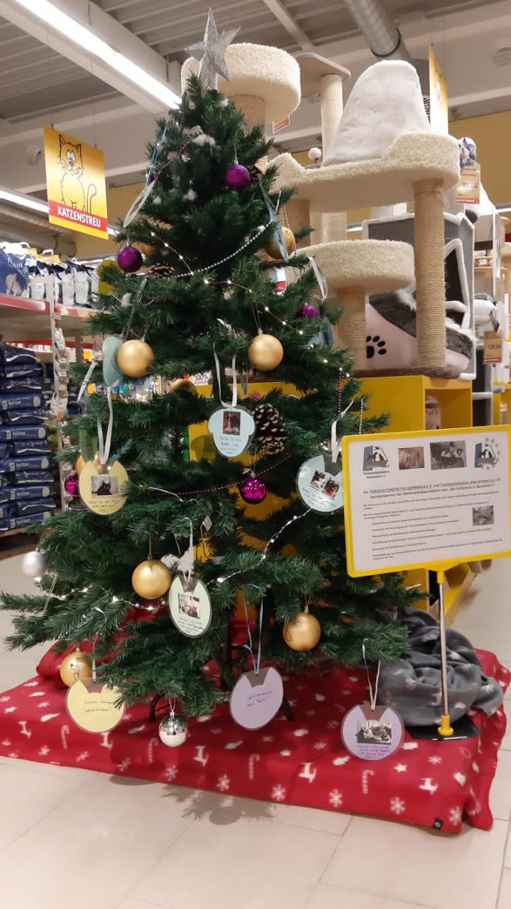 Unser Weihnachtsbaum im "Das Futterhaus" in Bensheim